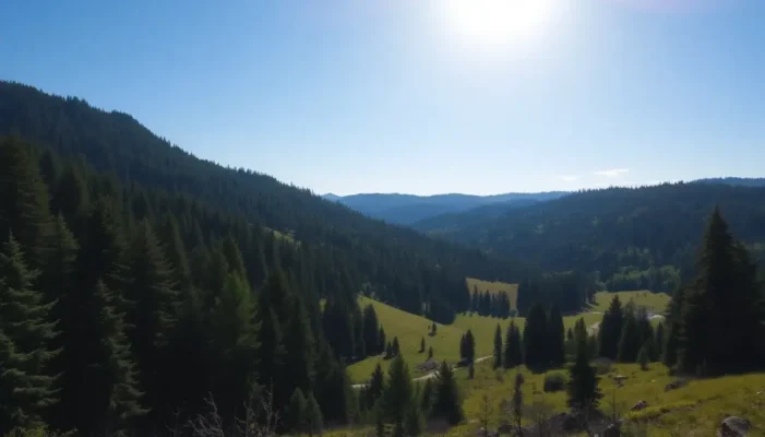 A beautiful scene with forests and meadows under a clear sky, symbolizing nature's allure for adventure.